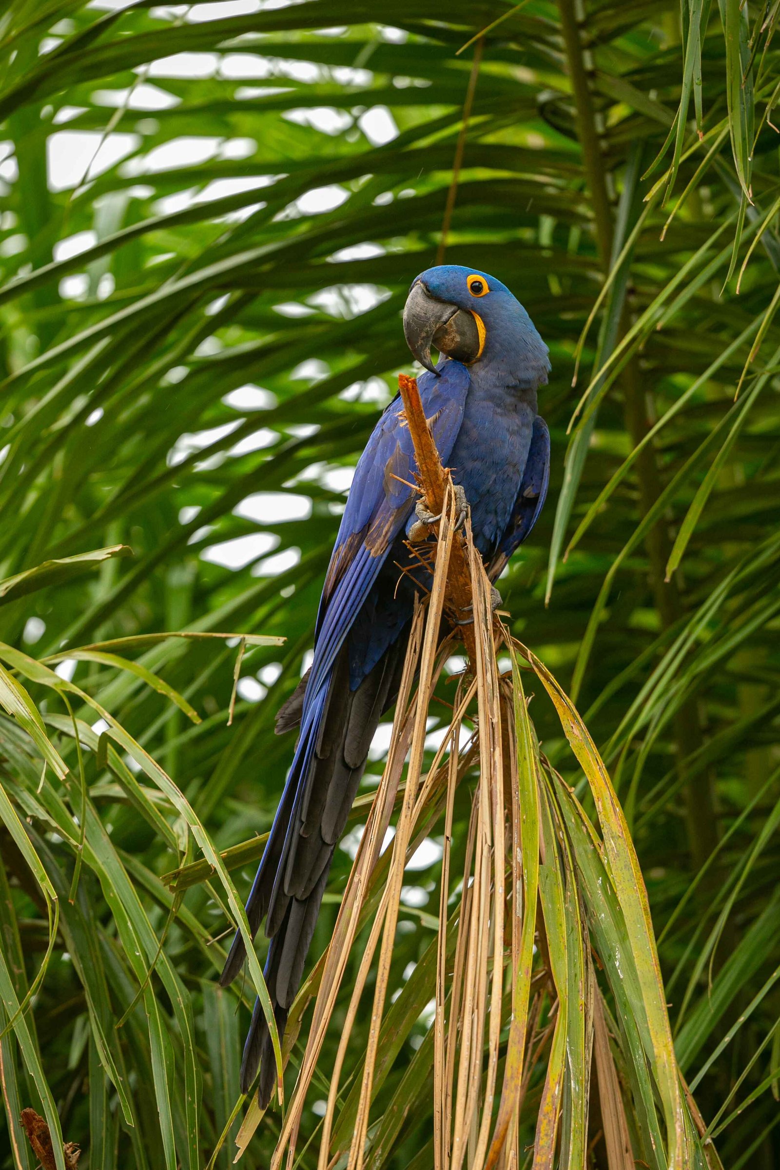 Image of a protected bird habitat